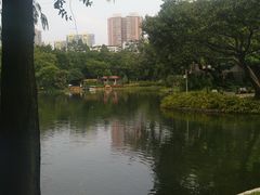 -晓港公园