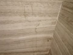 -深圳四季酒店·馥自助餐厅