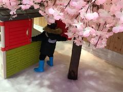 -Mr·Kuma酷么先生雪之乐园