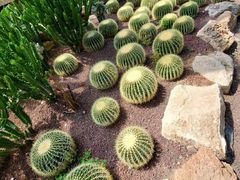 -亿利库布其七星湖沙漠生态旅游区