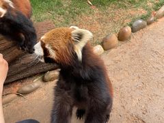 -云南野生动物园