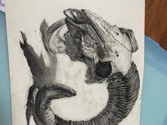 -信马画室 成人零基础到个人创作画室(亚运村店)