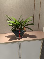 -漂亮妈妈通乳·塑形·产后恢复(奥体店)