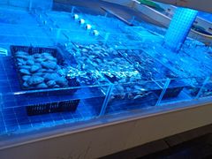 -金苑海鲜酒家(来魅力店)