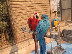 -陕西自然博物馆