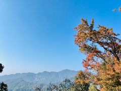 -广州市石门国家森林公园
