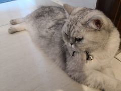 -Oasis绿洲银饰珍珠手作diy(壹方城店)