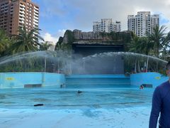 -亚马逊丛林水乐园