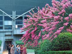 -杭州城北体育公园