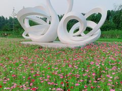 -东郊湿地公园