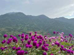 -婺源风景区