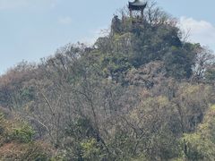 -花溪公园