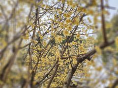 -苏州河梦清园环保主题公园