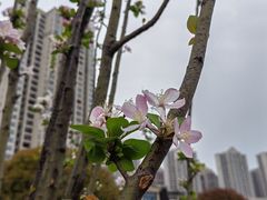 -洋湖国家湿地公园