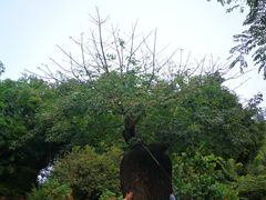 -水磨沟公园