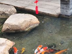 -大笑饭堂(甲子桥店)