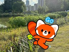 -牛岗山公园