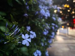 -西南政法大学(沙坪坝校区)