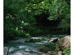 -广州市石门国家森林公园