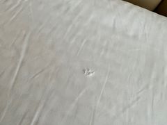 -深圳温德姆至尊酒店