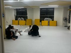 -勇气斑马·巴西柔术&跆拳道(浦东三林店)