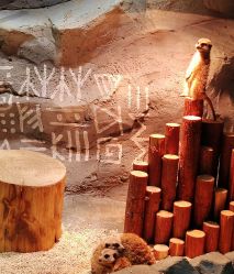 -Zoolung Zoolung动物主题公园(海信广场店)