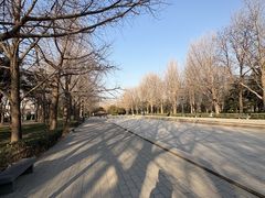 -玲珑塔公园