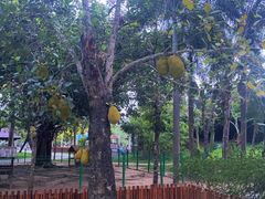 -三亚海棠湾万丽度假酒店