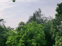 -海南文笔峰盘古文化旅游区