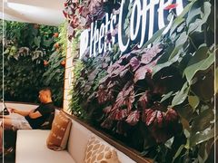 -Peet's 皮爷咖啡(东湖路手作店)