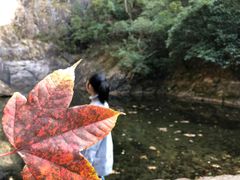 -白云源风景区