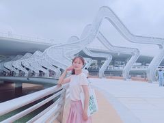 -演武大桥观景平台