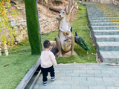 -汕尾铜鼎山旅游区