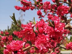 -永定河休闲森林公园