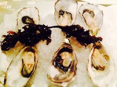 生蚝-广州四季酒店·佰鲜汇·现代法餐