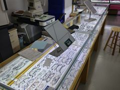 -三叶眼镜城·好视力眼镜店