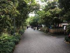 -灵顺寺