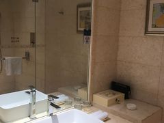 -深圳湾科技园丽雅查尔顿酒店