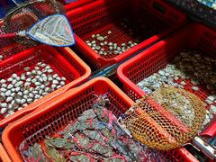 -巽寮印象美食部落餐厅·海鲜·地方特色菜(惠州体验店)