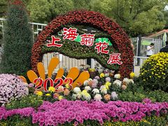 -上海共青森林公园