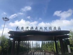 -黄海国家森林公园