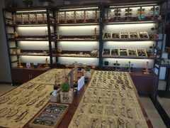 -肆兮眼镜·蔡司·徕卡战略合作店(大坪店)