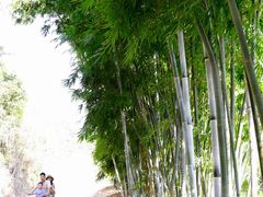 景点-红山村