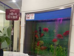 -雅悦齿科(顾村公园店)