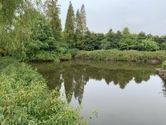 -上海滨江森林公园