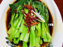 -新世纪绿洲(抚顺店)
