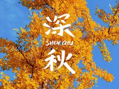 -黄兴公园