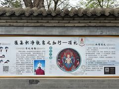 -护国法轮寺
