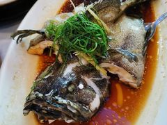 清蒸龙趸-潮喜竹溪荔湖酒家(荔枝湾店)
