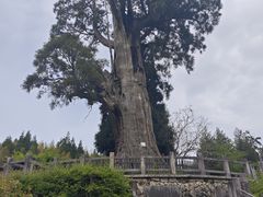-云中大漈